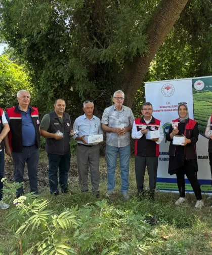 Bursa'da 5 bin Samuray Arısı doğaya salındı