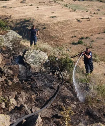 Eskişehir'deki orman yangınına müdahale sürüyor