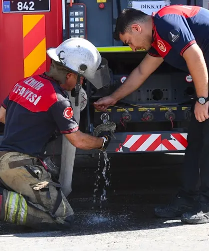 İzmir İtfaiyesi bukalemunu hayata döndürdü