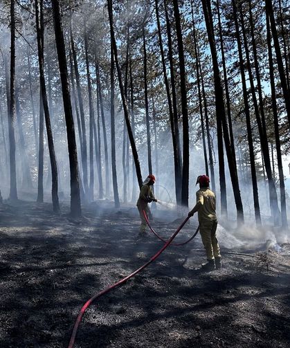 Kastamonu'da çıkan orman yangını söndürüldü
