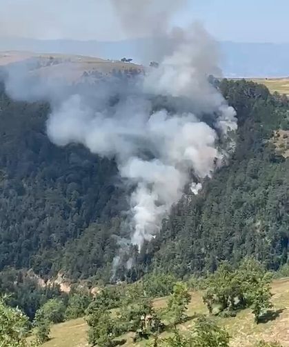 Samsun'da ormanlık alanda çıkan yangında 15 dönüm alan zarar gördü