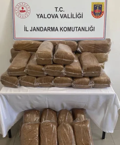 Yalova'da 160 kilogram bandrolsüz tütün ele geçirildi