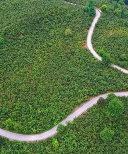 Ordu Büyükşehir'den Ulubey'e 7 kilometrelik asfalt yatırımı