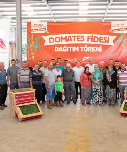 Mersin'de üreticiye domates fidesi desteği