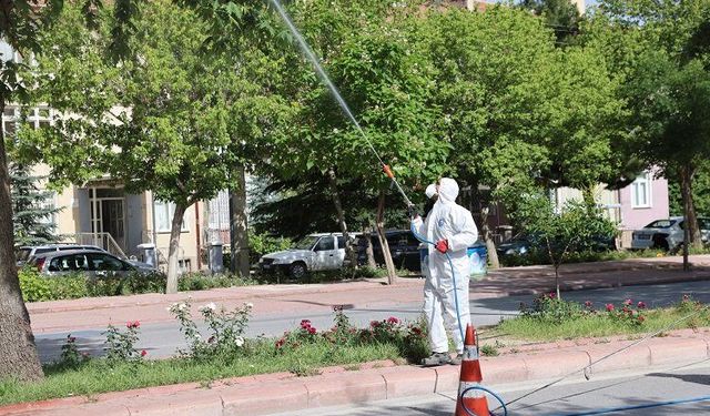 SARIKORKMAZ'DA İLAÇLAMA TALEBİ