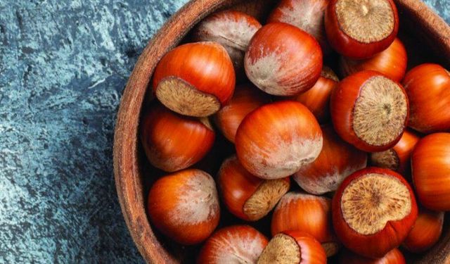 FINDIK ÜRETİCİSİ MAĞDUR