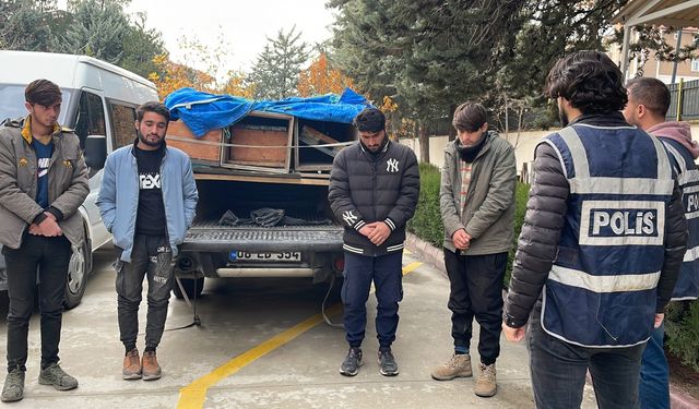 Amasya’da arı kovanlarının arasına saklanan 4 düzensiz göçmen yakalandı