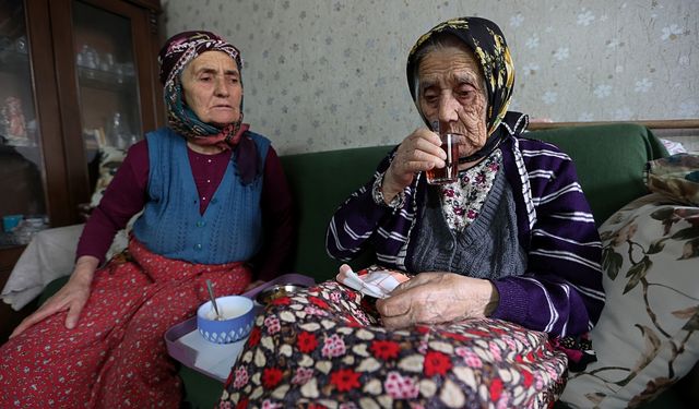 Asırlık çınar "Çepni nine" torunlarının torunlarıyla anılar biriktiriyor