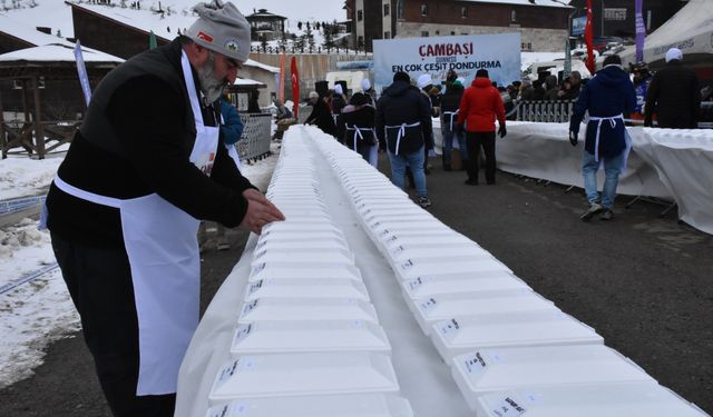 Ordu'da hazırlanan 1301 çeşit dondurma Guinness Rekorlar Kitabı'na girdi