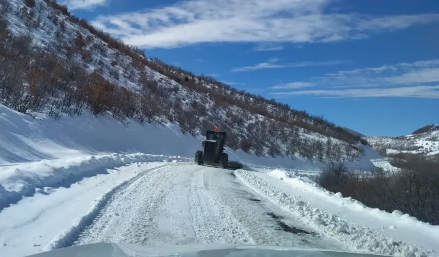 Malatya'da 56 mahallede kar mesaisi