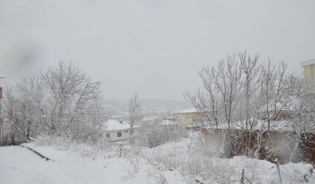 Samsun'da kar yağışı etkili oluyor