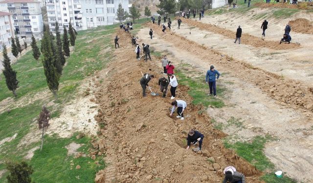 Boyabat'ta 510 fidan toprakla buluşturuldu