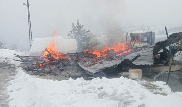 Ordu'da evde çıkan yangın iş makineleri ile kar atılmasıyla söndürüldü