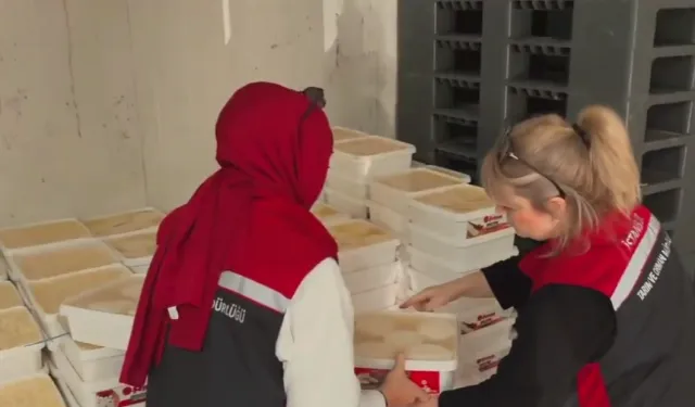 Bayrampaşa'da dev gıda denetimi... 35 ton peynire el kondu!