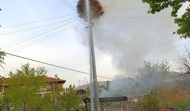 Çorum'da yangın çıkan leylek yuvası kullanılamaz hale geldi