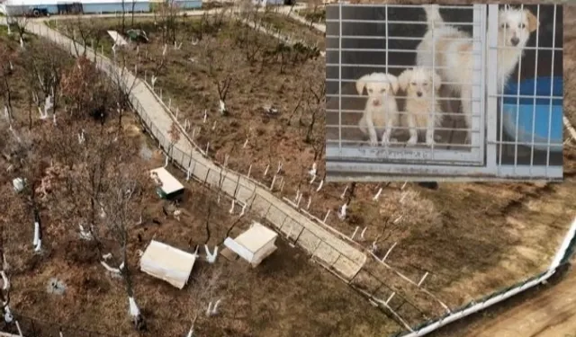 Edirne Keşan’da yeni hayvan barınağında tepki çeken uygulama!