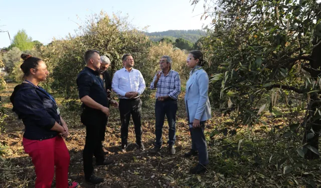 Muğla’da dondan etkilenen üreticilerine gübre dağıtıldı