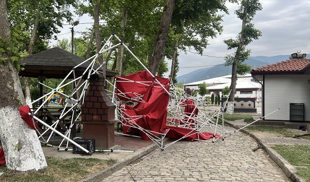 FIRTINA ETKİLİ OLDU, AĞAÇLAR DEVRİLDİ