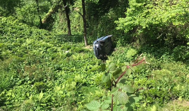 Rize'de hafif ticari aracın çay bahçesine devrildiği kazada 2 kişi yaralandı