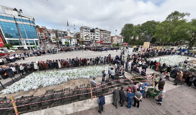 350 BİN ATA TOHUMU FİDESİ HALKA DAĞITILDI
