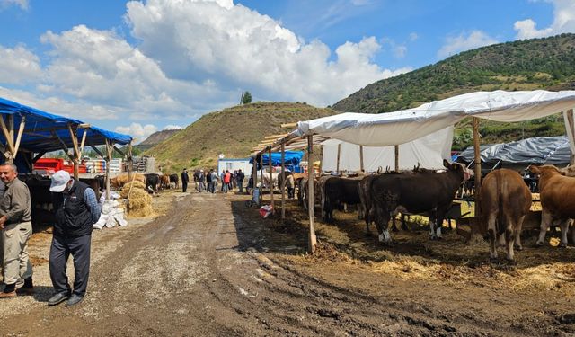 Bayat ilçesinde kurban pazarında hareketlilik sürüyor