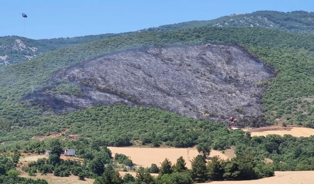 GÜNCELLEME - Bursa'da çıkan orman yangını kontrol altına alındı
