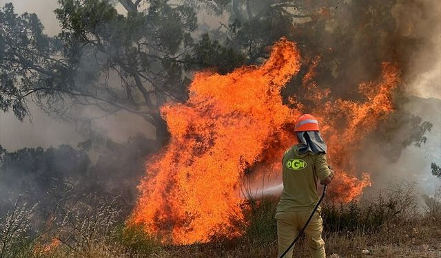 Muğla'da çıkan orman yangını söndürüldü
