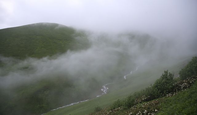 Rize'de "20. Dağ Horozu Şenliği" düzenlendi