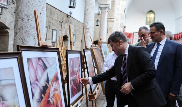 Amasya’da “Amasya’nın Renkleri” Sergisi açıldı