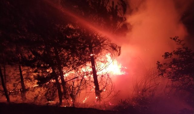 Bolu'da tarım alanında çıkan yangın ormana sıçramadan söndürüldü