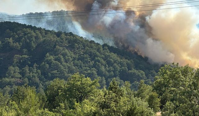 Bolu'nun Göynük ilçesinde çıkan orman yangınına müdahale ediliyor