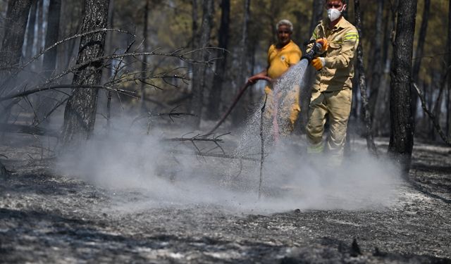 Çeşitli illerden gelen orman kahramanları, Karabük'te 6 gündür alevlerle mücadele ediyor