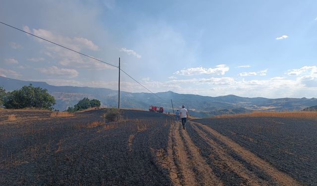 Çorum'da 25 dönüm buğday tarlası yandı