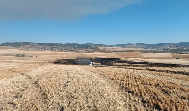 Çorum’da çıkan yangında yaklaşık 3 bin dönüm buğday ekili arazi zarar gördü