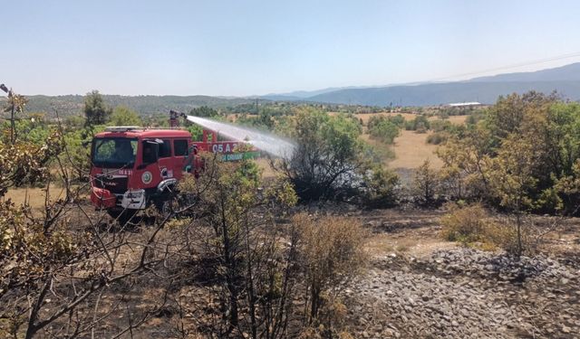 Çorum'da ormanlık alanda çıkan yangın büyümeden söndürüldü