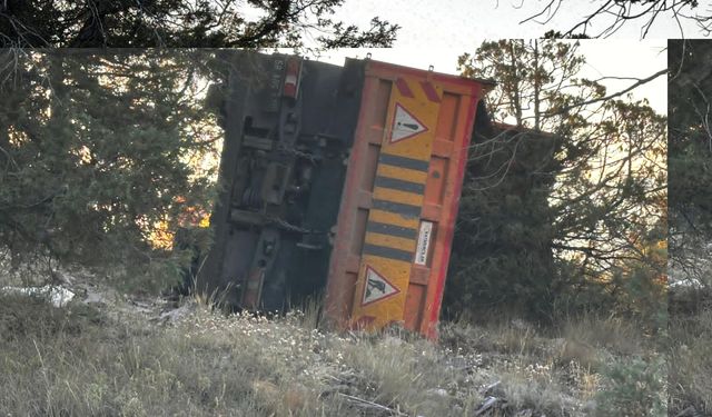 Giresun'da şarampole devrilen asfalt yüklü kamyonun sürücüsü yaralandı