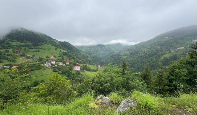 Giresun'da turizm hareketliliği esnafın yüzünü güldürdü