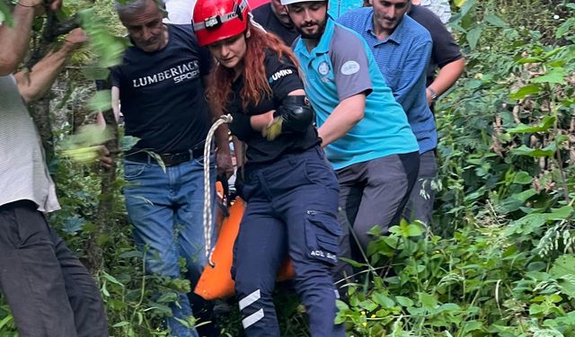 Giresun'da yamaçtan yuvarlanan kişi yaralandı