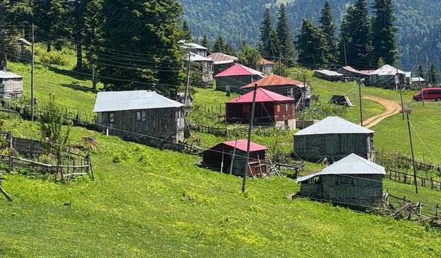 Gölyanı Yaylası'nı turizme kazandırma çalışmaları