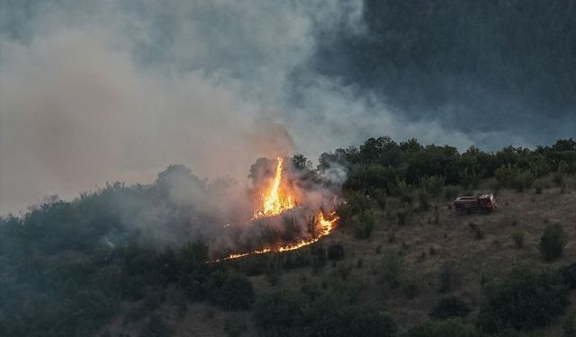 GÜNCELLEME 2 - Bursa-Balıkesir sınırında çıkan orman yangınına müdahale ediliyor