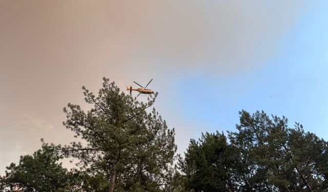 Karabük'te çıkan orman yangınına müdahale ediliyor
