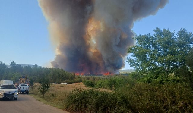 Karabük'te ormanlık alanda çıkan yangına müdahale ediliyor