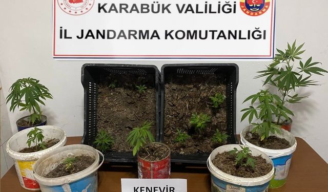 Karabük'te uyuşturucu operasyonunda 1 şüpheli yakalandı