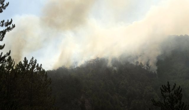 Karabük'teki orman yangınlarına 3. gününde müdahale sürüyor