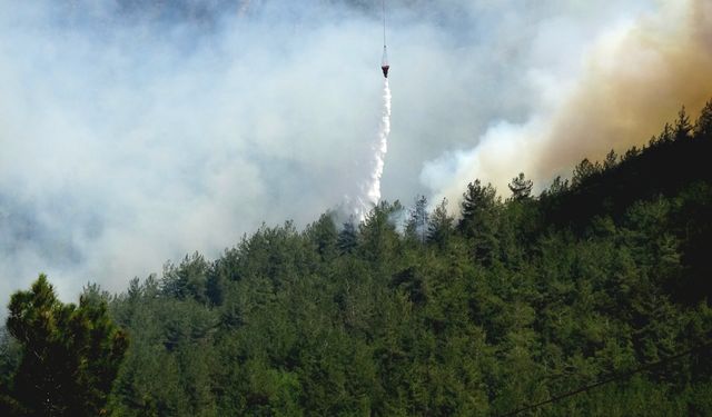 Karabük'ün Safranbolu ilçesindeki orman yangınına 4. gününde müdahale sürüyor