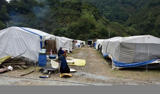 Mevsimlik tarım işçileri fındık hasadı için Ordu'ya gelmeye başladı