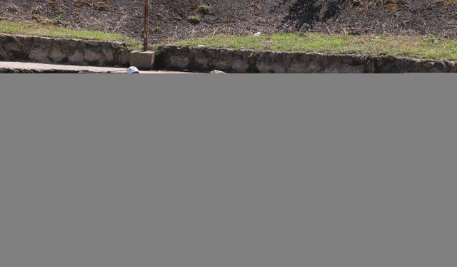 Rize'de Akarsu Kano Slalom ve Kayak Cross Türkiye Şampiyonası yapıldı