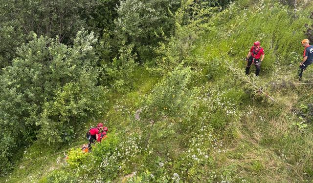 Rize'de dere yatağına düşen kişi yaralandı