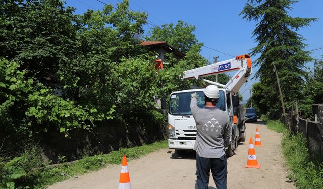 SEDAŞ, Bolu'da kesintisiz enerji için ağaç budama çalışması yapıyor