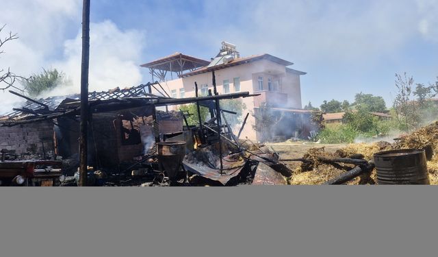 Tokat'ta çıkan yangında 7 büyükbaş hayvan öldü